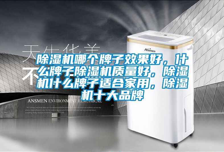 除濕機(jī)哪個(gè)牌子效果好，什么牌子除濕機(jī)質(zhì)量好，除濕機(jī)什么牌子適合家用，除濕機(jī)十大品牌