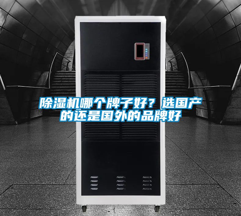 除濕機哪個牌子好？選國產的還是國外的品牌好