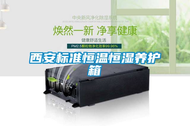西安標準恒溫恒濕養護箱