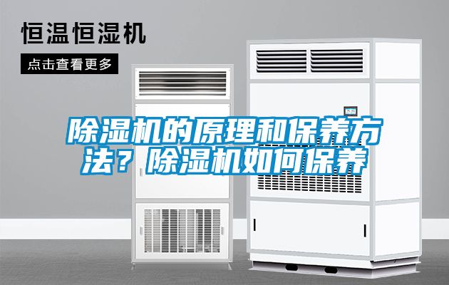 除濕機的原理和保養方法？除濕機如何保養