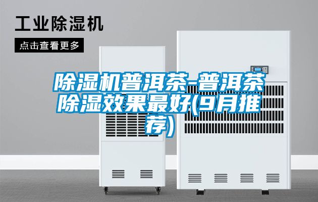 除濕機普洱茶-普洱茶除濕效果最好(9月推薦)