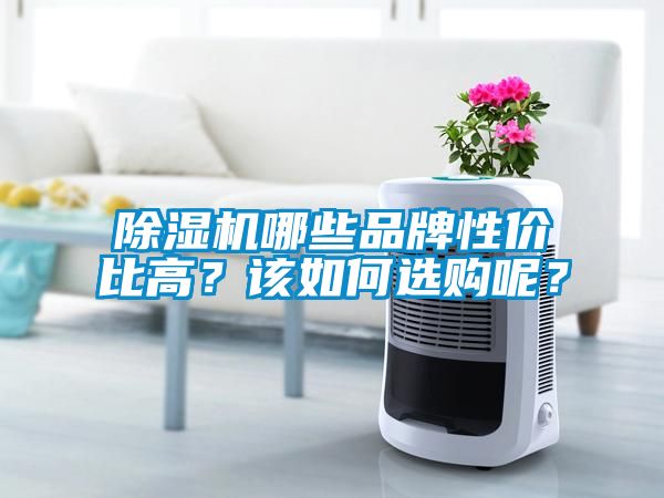 除濕機哪些品牌性價比高？該如何選購呢？