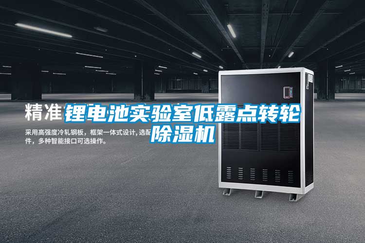 鋰電池實驗室低露點轉輪除濕機