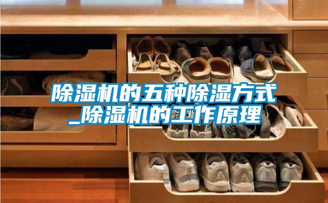 除濕機的五種除濕方式_除濕機的工作原理