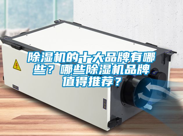 除濕機(jī)的十大品牌有哪些？哪些除濕機(jī)品牌值得推薦？