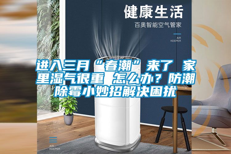 進入三月“春潮”來了 家里濕氣很重 怎么辦？防潮除霉小妙招解決困擾