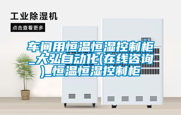 車間用恒溫恒濕控制柜_大弘自動化(在線咨詢)_恒溫恒濕控制柜