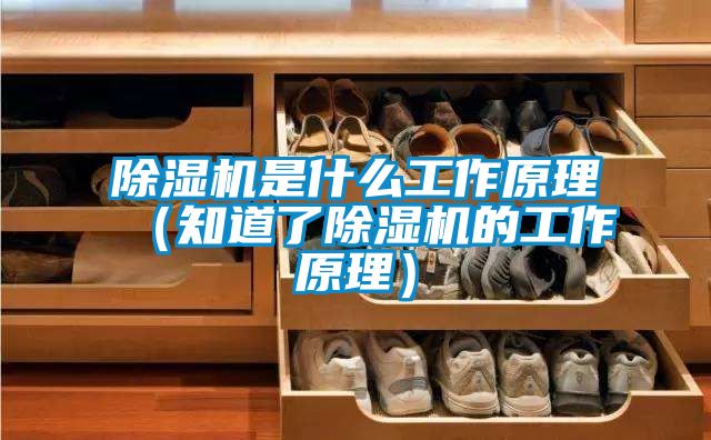 除濕機是什么工作原理（知道了除濕機的工作原理）