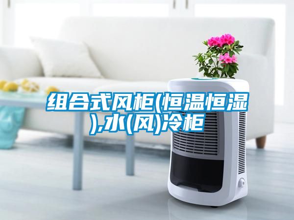 組合式風柜(恒溫恒濕),水(風)冷柜