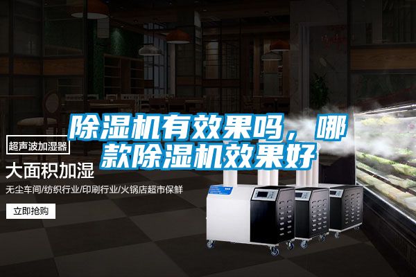 除濕機有效果嗎，哪款除濕機效果好