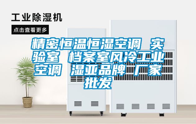 精密恒溫恒濕空調 實驗室 檔案室風冷工業空調 濕亞品牌 廠家批發