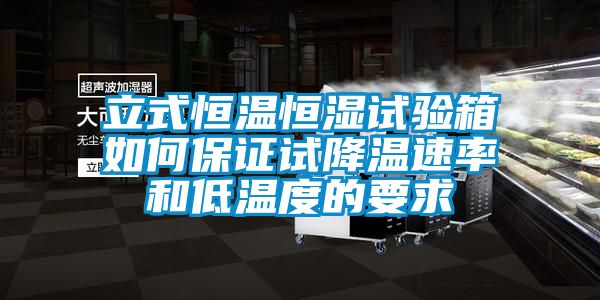 立式恒溫恒濕試驗箱如何保證試降溫速率和低溫度的要求