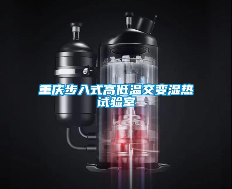 重慶步入式高低溫交變濕熱試驗(yàn)室