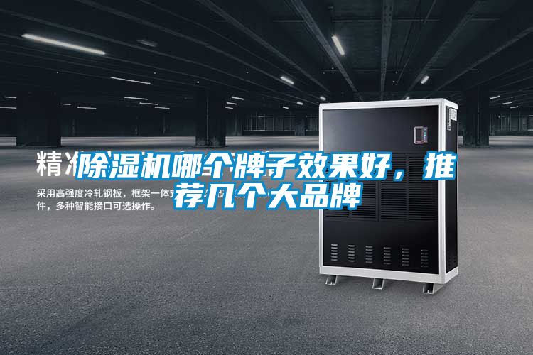 除濕機哪個牌子效果好，推薦幾個大品牌