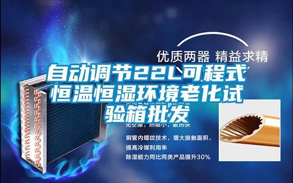 自動調節22L可程式恒溫恒濕環境老化試驗箱批發