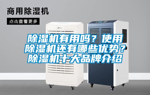 除濕機有用嗎？使用除濕機還有哪些優勢？除濕機十大品牌介紹