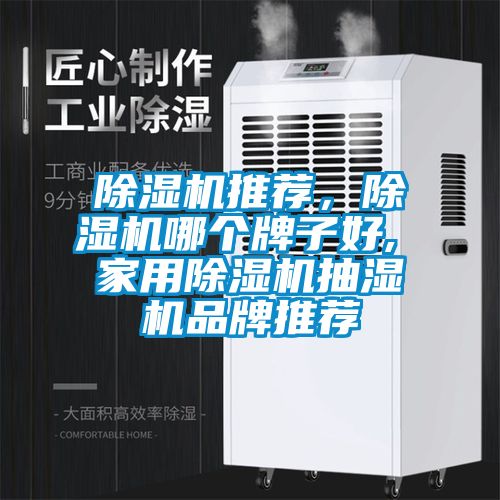 除濕機推薦，除濕機哪個牌子好, 家用除濕機抽濕機品牌推薦