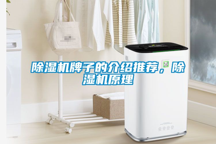 除濕機牌子的介紹推薦，除濕機原理