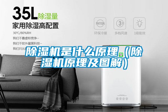 除濕機是什么原理（除濕機原理及圖解）