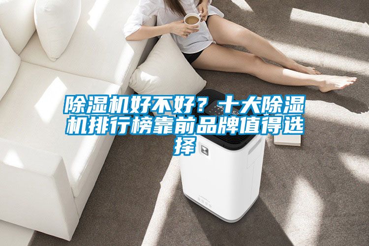 除濕機好不好？十大除濕機排行榜靠前品牌值得選擇