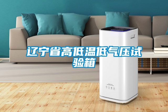 遼寧省高低溫低氣壓試驗(yàn)箱