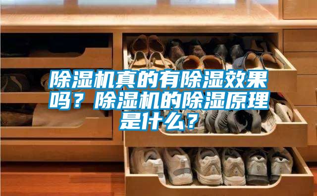 除濕機真的有除濕效果嗎？除濕機的除濕原理是什么？