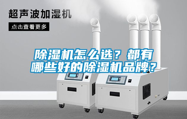 除濕機怎么選？都有哪些好的除濕機品牌？