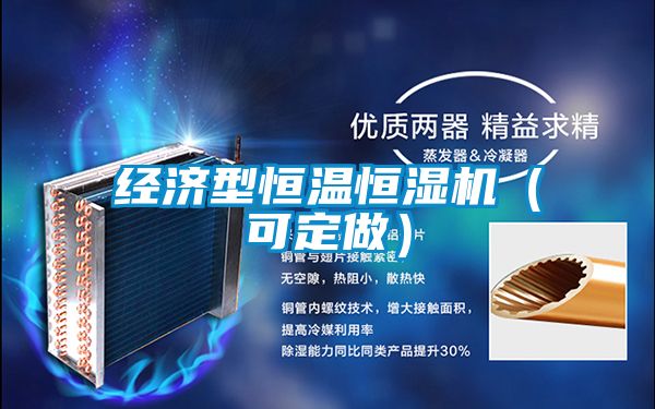 經濟型恒溫恒濕機（可定做）