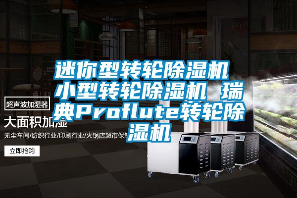 迷你型轉(zhuǎn)輪除濕機(jī) 小型轉(zhuǎn)輪除濕機(jī) 瑞典Proflute轉(zhuǎn)輪除濕機(jī)
