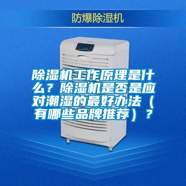除濕機工作原理是什么？除濕機是否是應對潮濕的最好辦法（有哪些品牌推薦）？