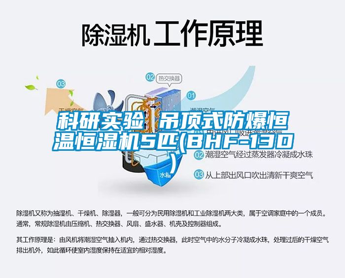 科研實驗 吊頂式防爆恒溫恒濕機5匹(BHF-13D)