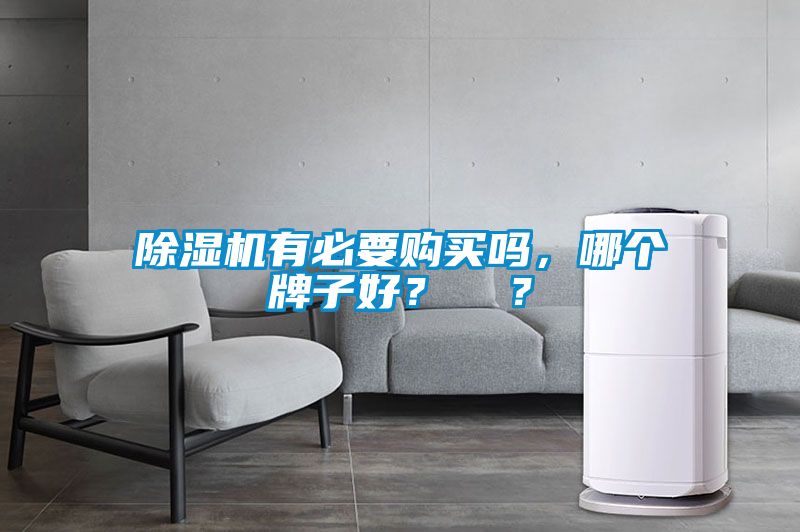 除濕機有必要購買嗎，哪個牌子好？  ？