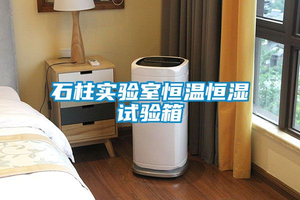 石柱實驗室恒溫恒濕試驗箱