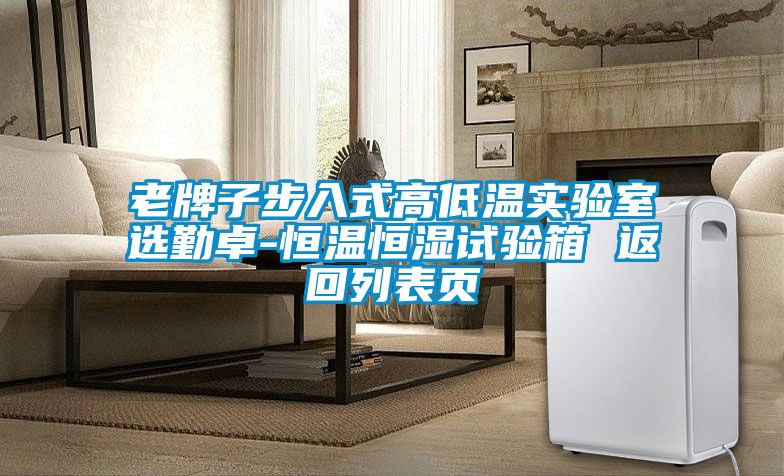 老牌子步入式高低溫實(shí)驗(yàn)室選勤卓-恒溫恒濕試驗(yàn)箱 返回列表頁
