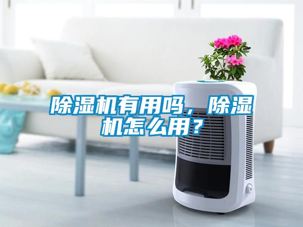 除濕機有用嗎，除濕機怎么用？