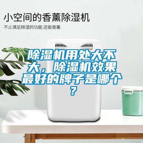 除濕機用處大不大，除濕機效果最好的牌子是哪個？