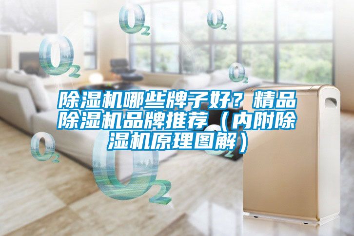除濕機哪些牌子好？精品除濕機品牌推薦（內附除濕機原理圖解）