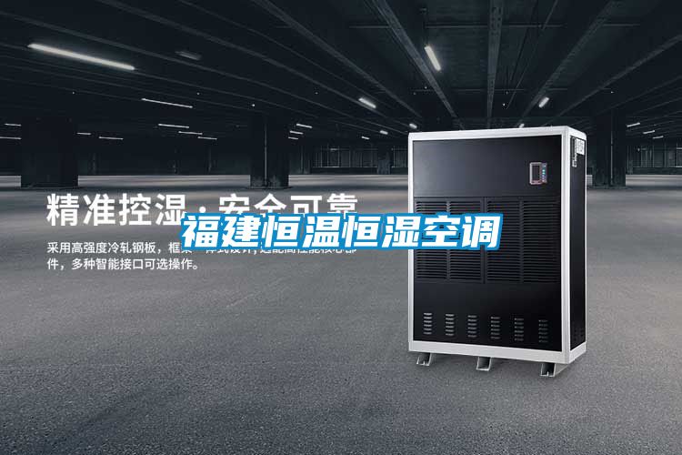 福建恒溫恒濕空調
