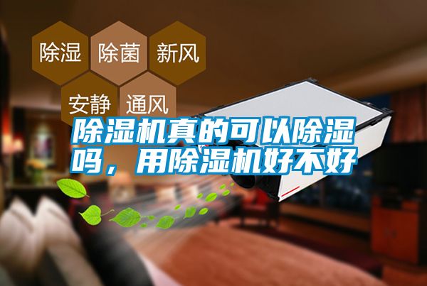 除濕機真的可以除濕嗎，用除濕機好不好