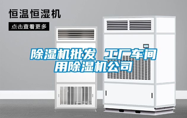除濕機批發 工廠車間用除濕機公司
