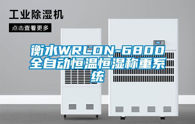 衡水WRLDN-6800全自動(dòng)恒溫恒濕稱重系統(tǒng)