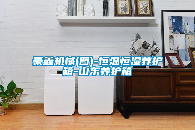 豪鑫機械(圖)-恒溫恒濕養護箱-山東養護箱