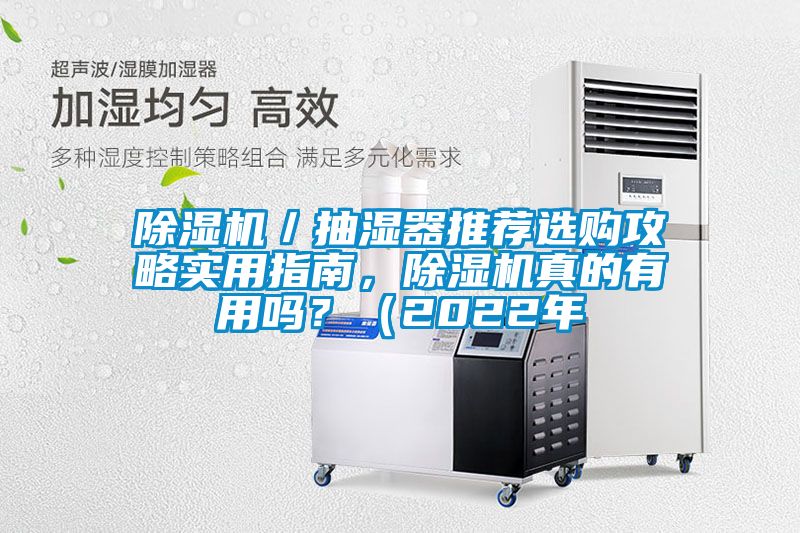 除濕機(jī)／抽濕器推薦選購攻略實(shí)用指南，除濕機(jī)真的有用嗎？（2022年