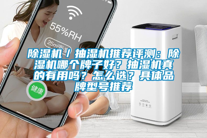 除濕機／抽濕機推薦評測：除濕機哪個牌子好？抽濕機真的有用嗎？怎么選？具體品牌型號推薦