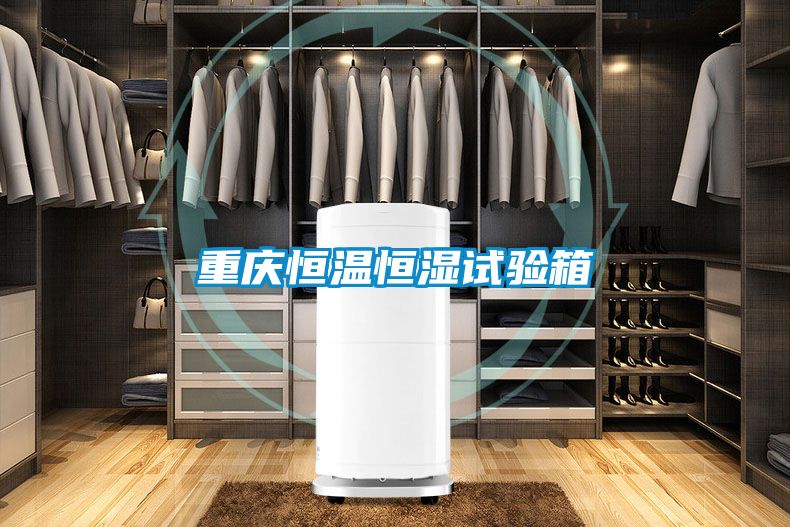 重慶恒溫恒濕試驗箱