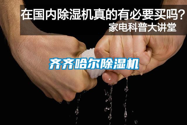 齊齊哈爾除濕機