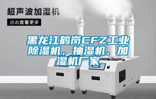 黑龍江鶴崗CFZ工業除濕機，抽濕機、加濕機廠家