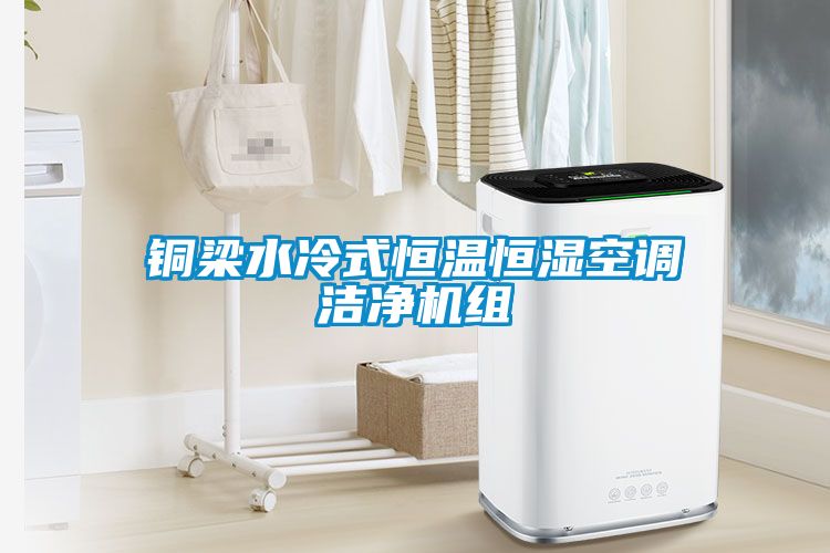 銅梁水冷式恒溫恒濕空調潔凈機組