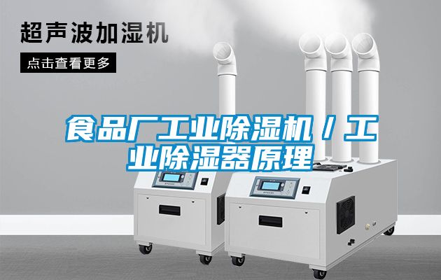 食品廠工業除濕機／工業除濕器原理