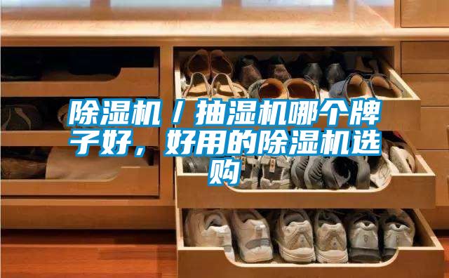 除濕機／抽濕機哪個牌子好，好用的除濕機選購